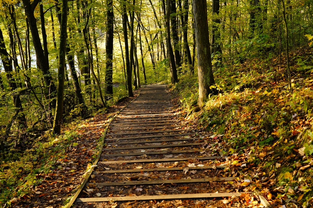 Steps leading up to great views of Wisconsin Fall Colors at Parnell Tower in the Kettle Moraine State Forest