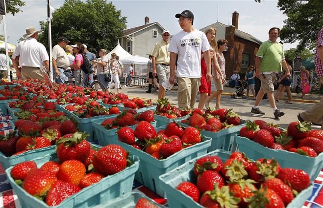 Strawberry Fest Has Come And Gone, Summerfest Is Right Around The