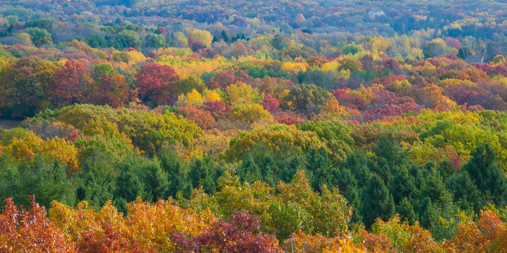 View from the top during your scenic drive in the Kettle Moraine State Forest this fall