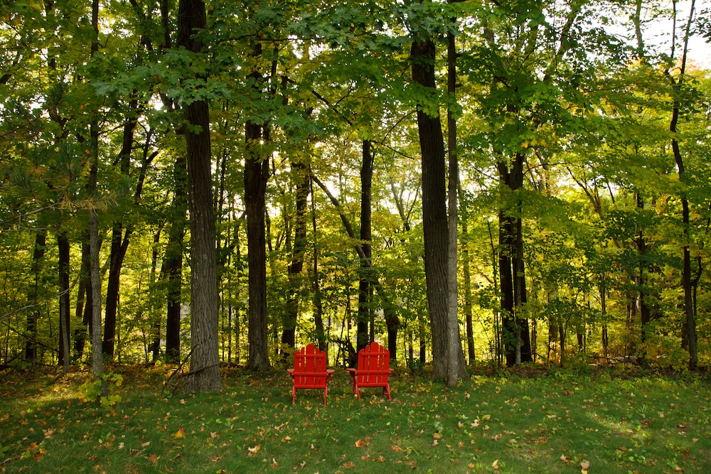 After visiting the Lion's Den Nature Preserve, soak up more natural beauty in these chairs, surrounded by the trees, at our Wisconsin Bed and Breakfast