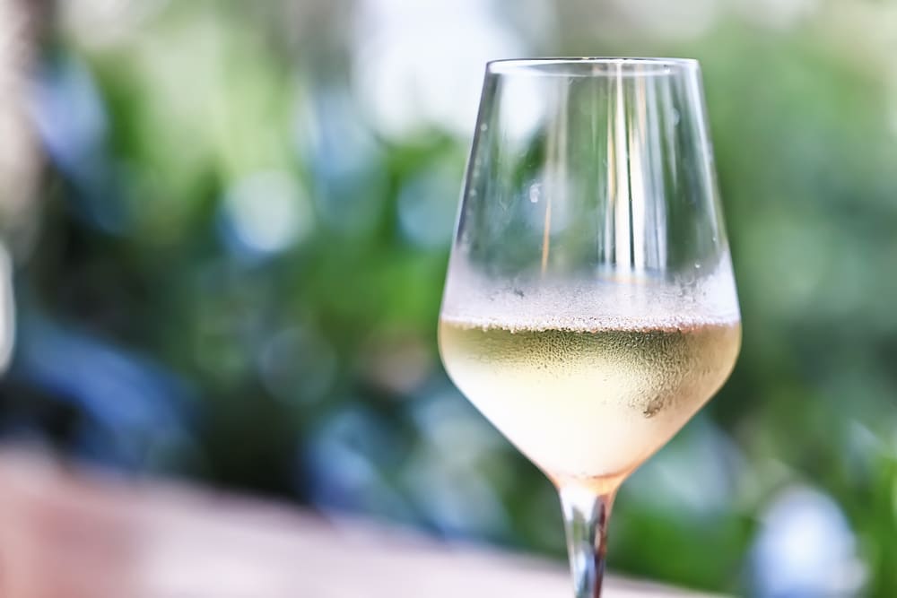 Glass of wine - enjoying a tasting is one of the other top things to do in Cedarburg each year
