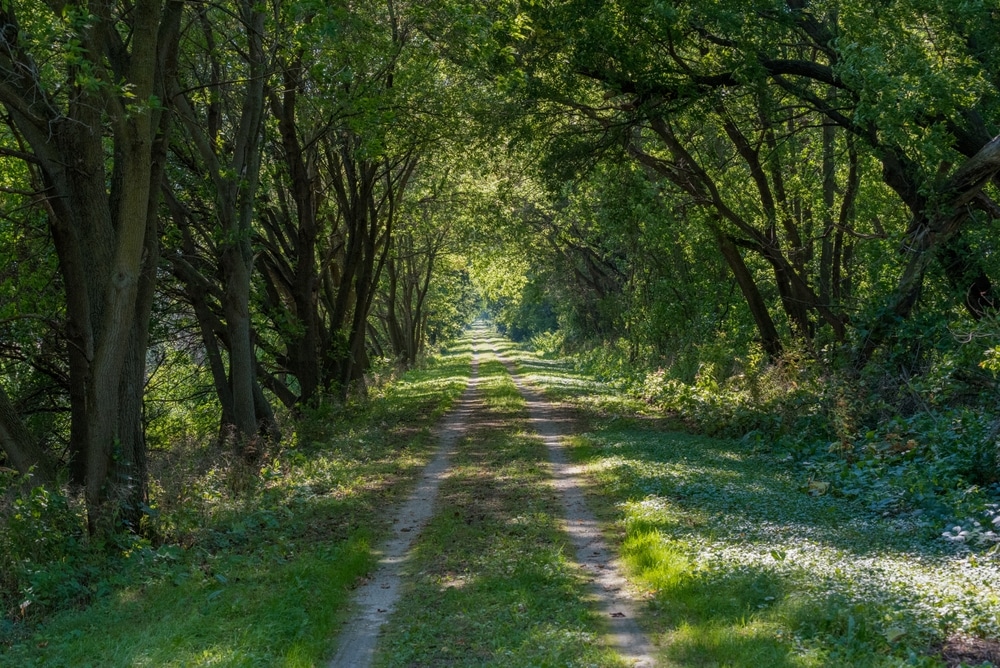 The Wild Goose State Trail near Horicon Marsh in Wisconsin