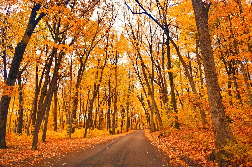 Scenic drive through Wisconsin fall colors