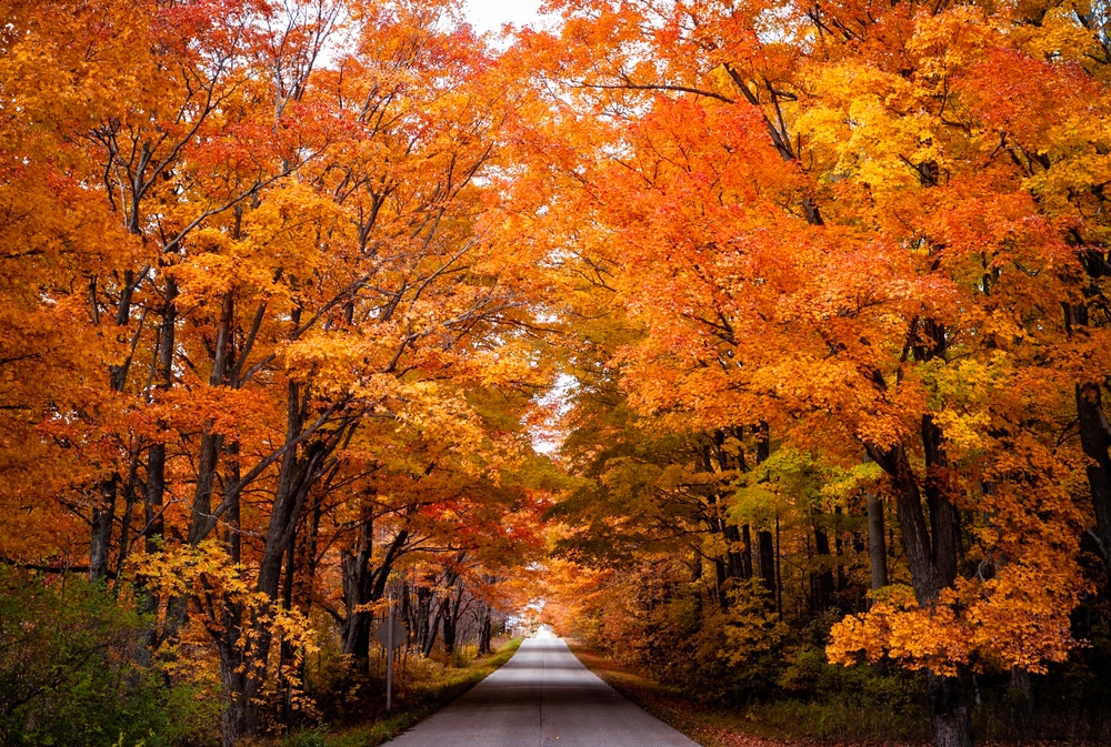 The Best Fall Getaways Near Chicago 1 Scenic drive through Wisconsin fall colors on your getaways near Chicago